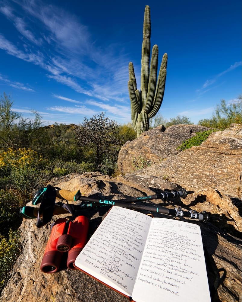 LEKI Cressida AS Trekking Poles in the Sonoran Desert