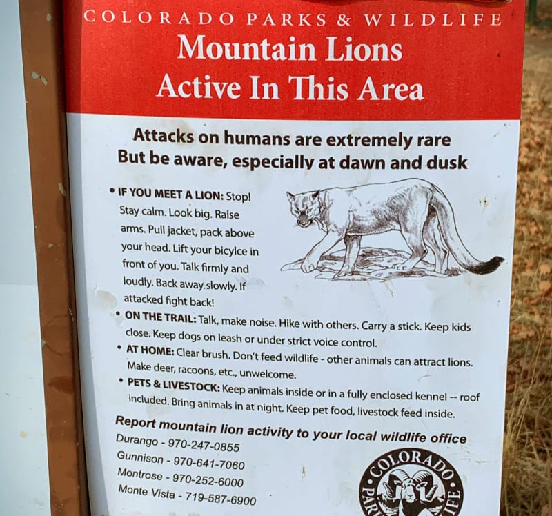  Sign warning of mountain lions in the area from Colorado Parks & Wildlife, posted at a trailhead near the Colorado Trail.