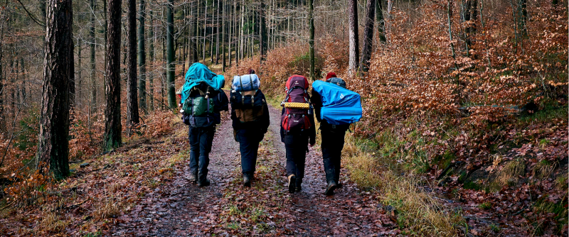 Four hikers wearing budget-friendly backpacks walk through a forest trail in autumn.