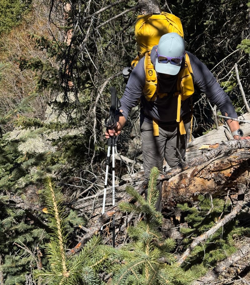 Hiker using LEKI Skytera FX Carbon SL trekking poles to maneuver through downed trees on a rugged alpine trail.