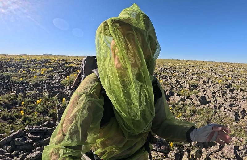Hiker wearing bug netting with Durston Kakwa 55 backpack in a rocky, wildflower-filled alpine landscape under blue sky.