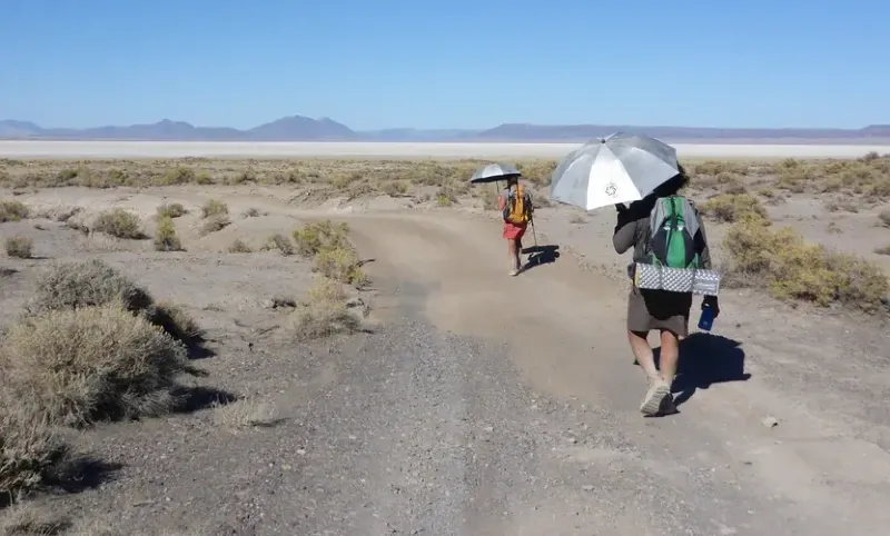 Hikers walking across a desert landscape under a clear blue sky while carrying reflective sun umbrellas for shade.