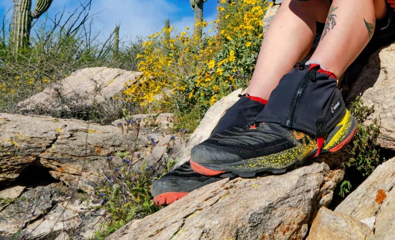 Close-up of hiker’s gaiters and trail shoes on rocky desert ground with cacti and wildflowers nearby.