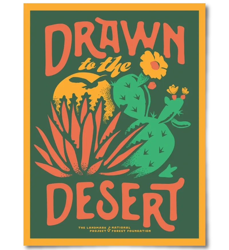 Illustrated art print reading “Drawn to the Desert,” with cactus, desert plants, and warm sunset tones.