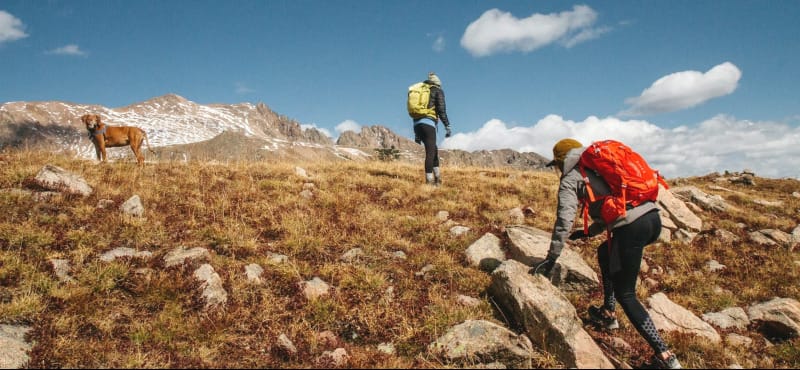 Two hikers with backpacks and a dog walking up a rocky alpine slope toward snow-dusted mountains under a bright blue sky.