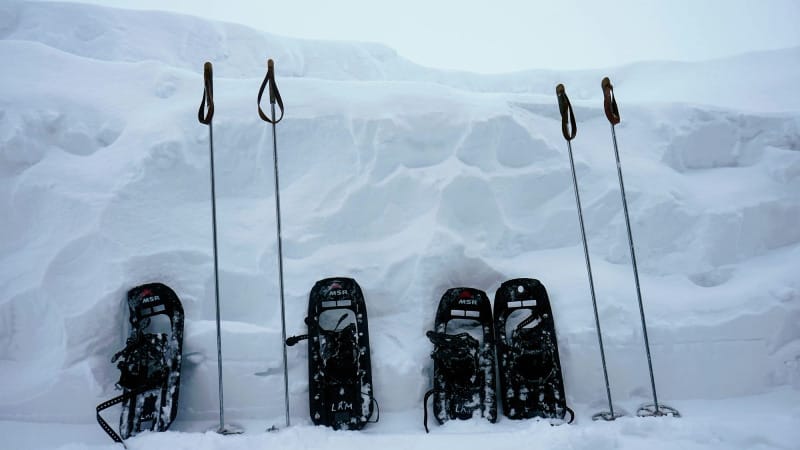 Several pairs of MSR snowshoes and trekking poles standing upright in a deep snowbank, showing gear setup for winter hiking.