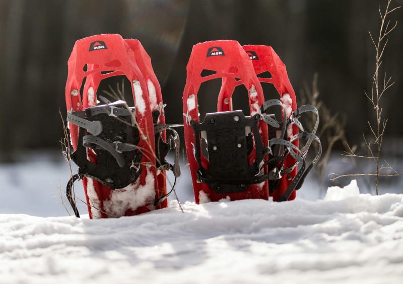 Close-up of red MSR snowshoes standing upright in fresh snow with a forest backdrop, highlighting durable winter hiking gear.