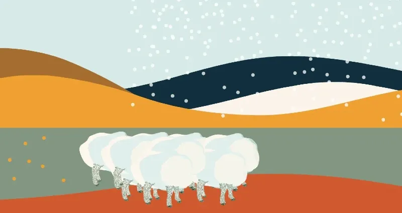 All About Ibex: Performance Merino Wool for Every Season