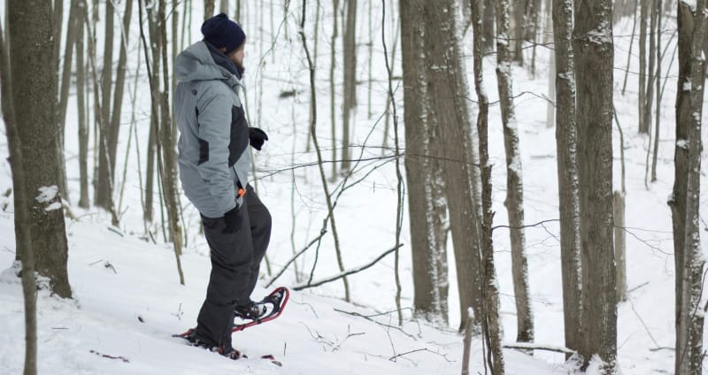 Best Snowshoes for Hiking in 2026: Top Picks for Winter Trails