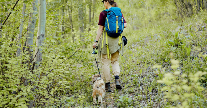  Person standing with a dog on a cliff edge overlooking forested mountains at sunset