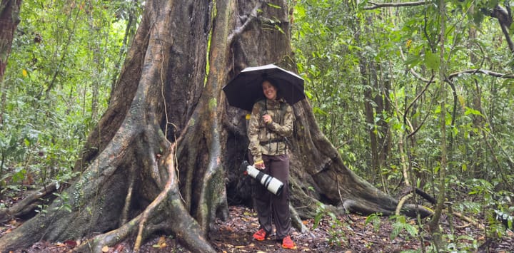 Woman wearing KUIU Chugach TR Rain Jacket and Pants under a large tree in Costa Rica’s jungle with a camera and umbrella.